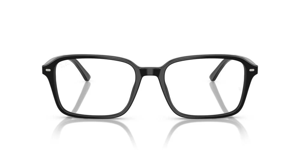 RAIMOND RX 5431